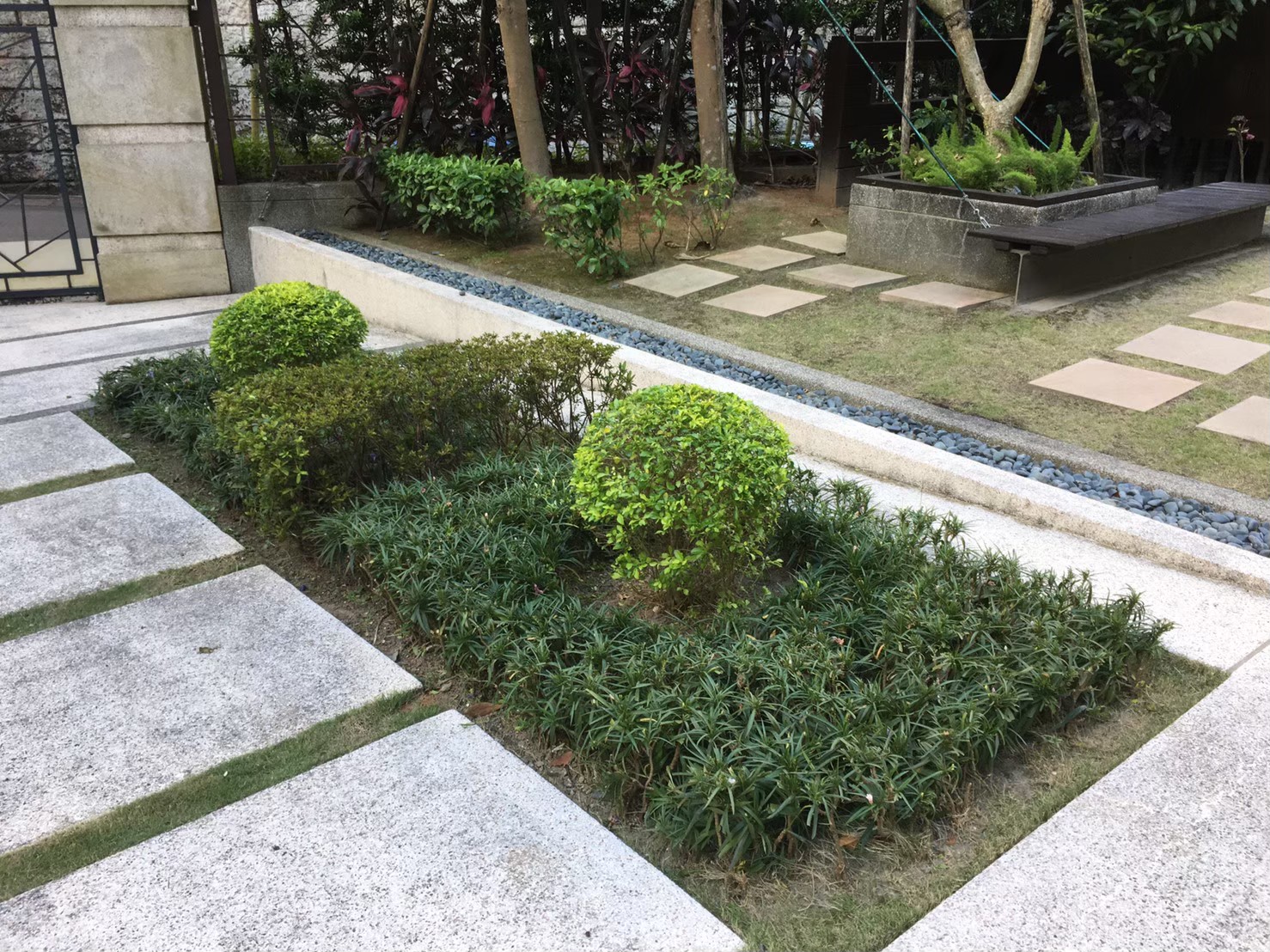 台北內湖社區園藝修剪整理-園藝修剪整理,鋸樹矮化作業,花草樹木種植,園藝造園工程,庭院花園整理,割草鋸樹修剪-免費現勘