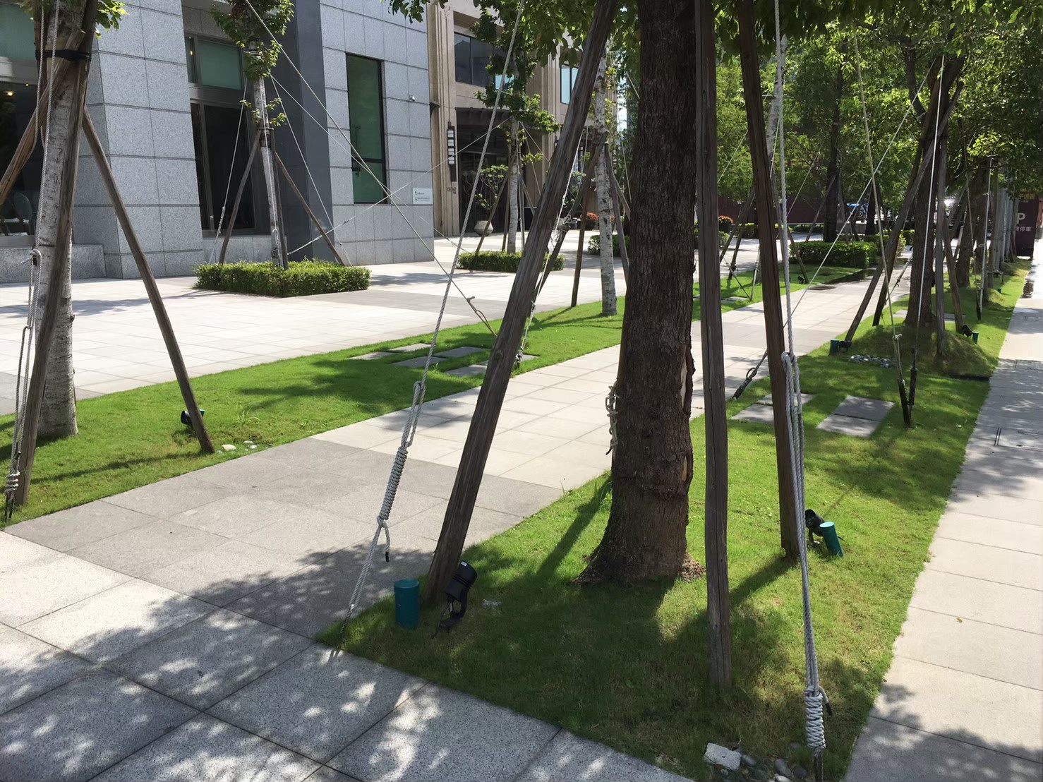 新莊公司大樓綠植修剪整理-園藝修剪整理,鋸樹矮化作業,花草樹木種植,園藝造園工程,庭院花園整理,割草鋸樹修剪-免費現勘