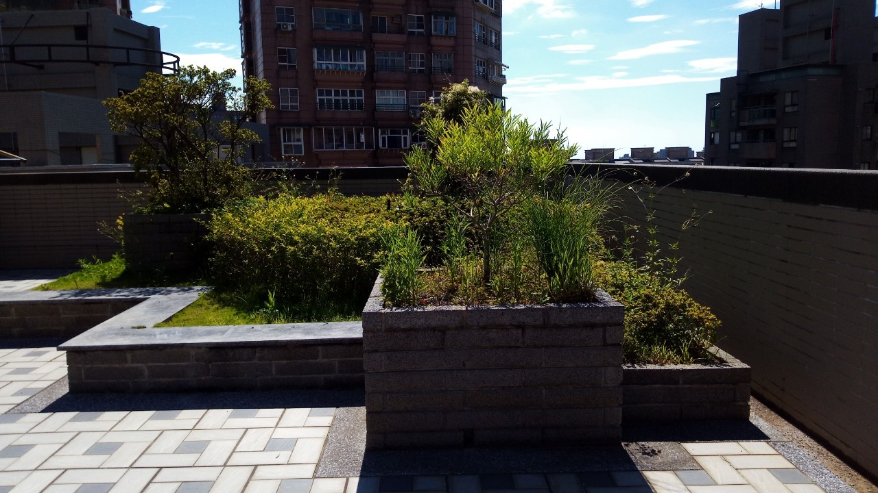 淡水八里社區園藝修剪整理工程-園藝修剪整理,鋸樹矮化作業,花草樹木種植,園藝造園工程,庭院花園整理,割草鋸樹修剪-免費現勘