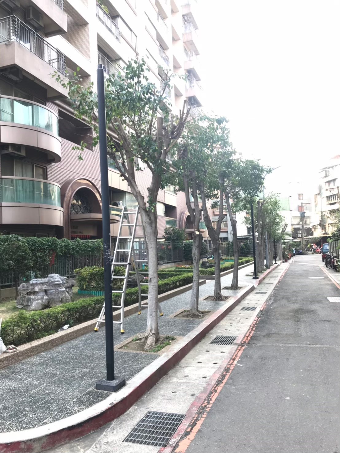 台北新北園藝綠植樹木修剪-園藝修剪整理,鋸樹矮化作業,花草樹木種植,園藝造園工程,庭院花園整理,割草鋸樹修剪-免費現勘