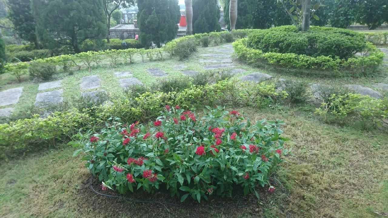 台北社區庭院園藝花草種植-園藝修剪整理,鋸樹矮化工程,花草樹木種植,造園景觀工程社區住家庭院園藝整-免費現勘