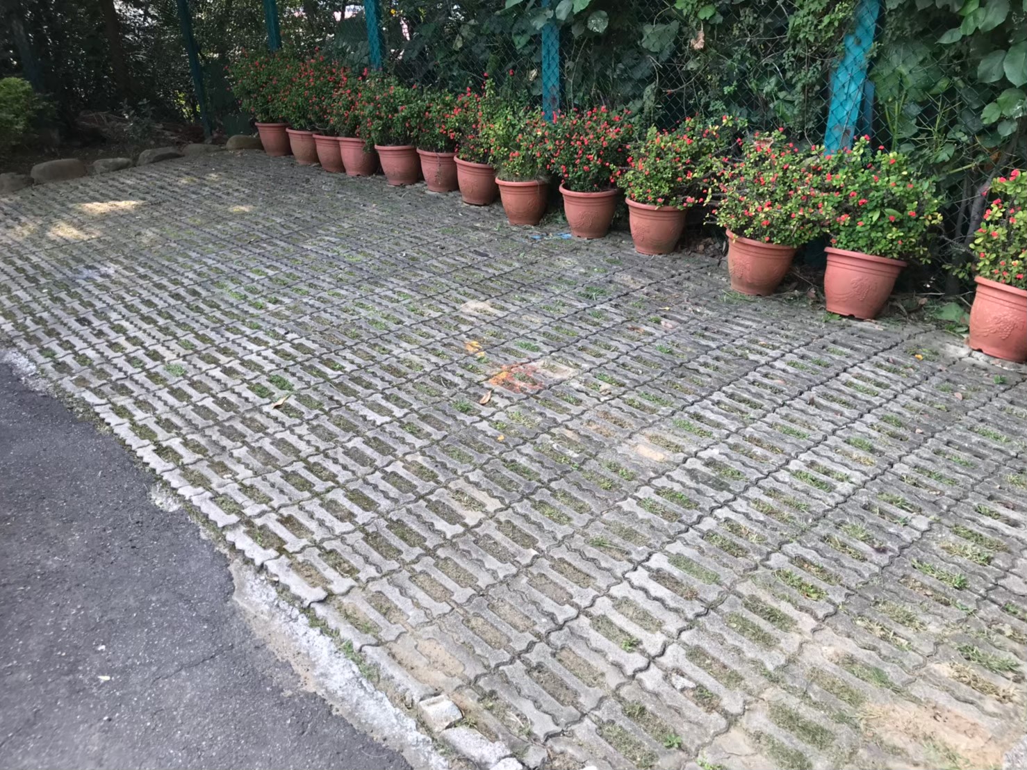 台北社區庭園綠植修剪維護-園藝修剪整理,鋸樹矮化作業,花草樹木種植,園藝造園工程,庭院花園整理,割草鋸樹修剪-免費現勘