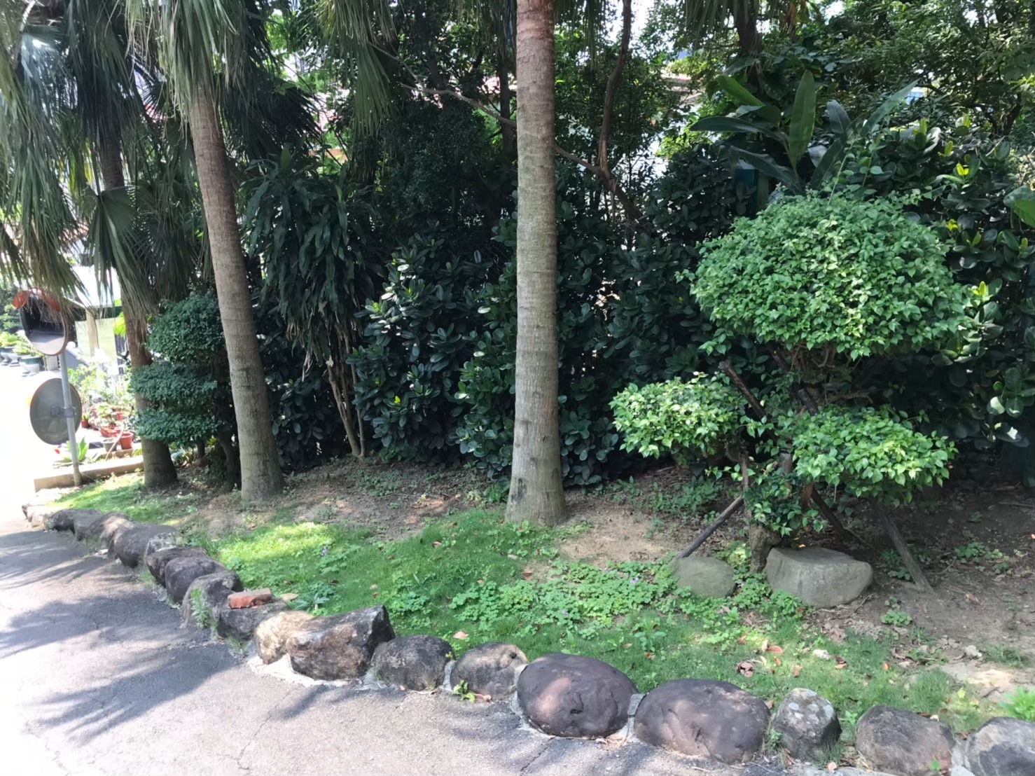 台北社區庭園綠植修剪維護-園藝修剪整理,鋸樹矮化作業,花草樹木種植,園藝造園工程,庭院花園整理,割草鋸樹修剪-免費現勘