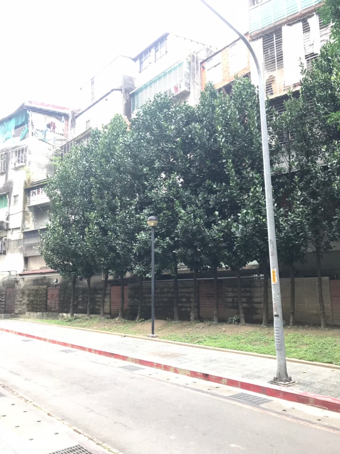 台北新北園藝綠植樹木修剪-園藝修剪整理,鋸樹矮化作業,花草樹木種植,園藝造園工程,庭院花園整理,割草鋸樹修剪-免費現勘