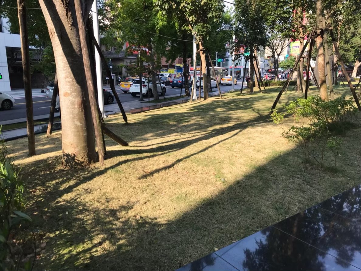 台北公司庭院園藝修剪維護-園藝修剪整理,鋸樹矮化作業,花草樹木種植,園藝造園工程,庭院花園整理,割草鋸樹修剪-免費現勘