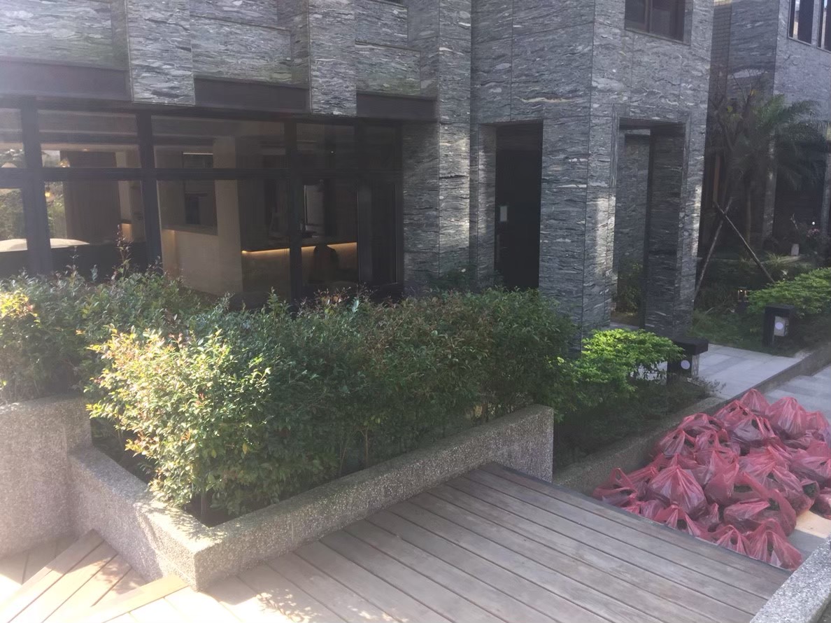 林口住家庭院園藝修剪整理-園藝修剪整理,鋸樹矮化作業,花草樹木種植,園藝造園工程,庭院花園整理,割草鋸樹修剪-免費現勘