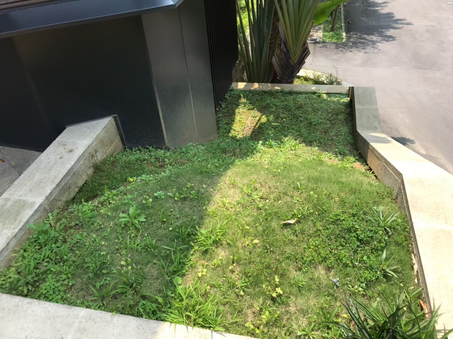 新北市社區園藝修剪維護-園藝修剪整理,鋸樹矮化作業,花草樹木種植,園藝造園工程,庭院花園整理,割草鋸樹修剪-免費現勘