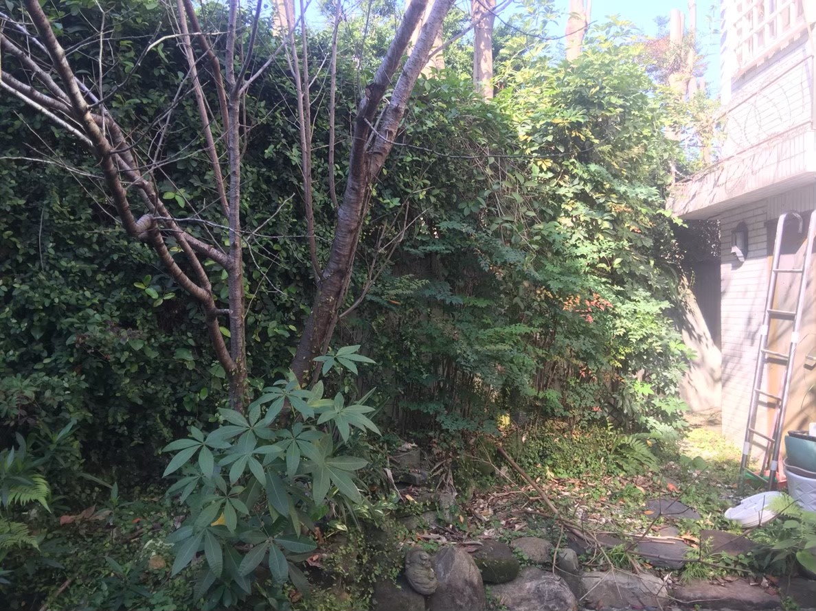 三重住家社區園藝修剪整理-園藝修剪整理,鋸樹矮化作業,花草樹木種植,園藝造園工程,庭院花園整理,割草鋸樹修剪-免費現勘