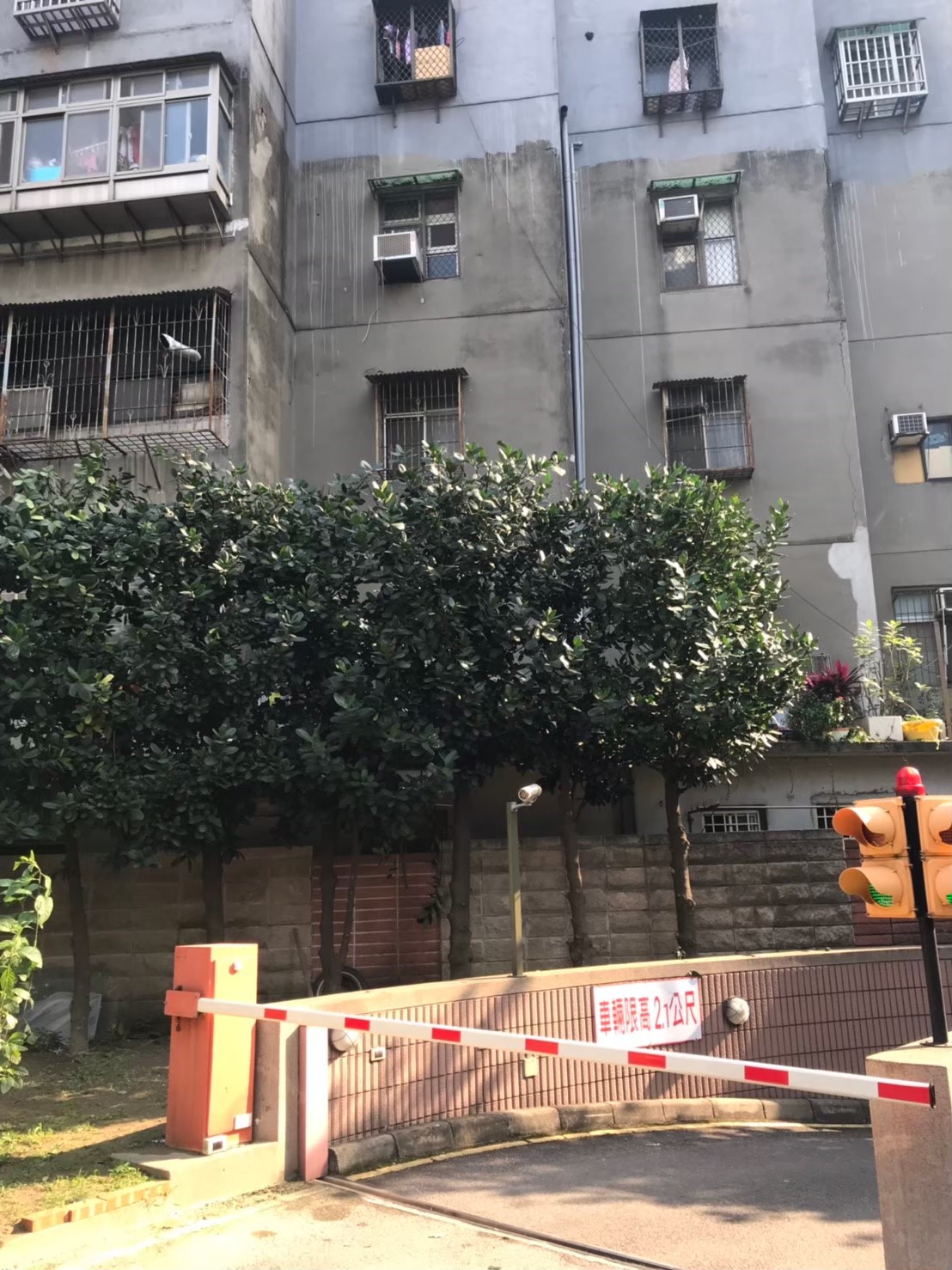 台北新北園藝綠植樹木修剪-園藝修剪整理,鋸樹矮化作業,花草樹木種植,園藝造園工程,庭院花園整理,割草鋸樹修剪-免費現勘