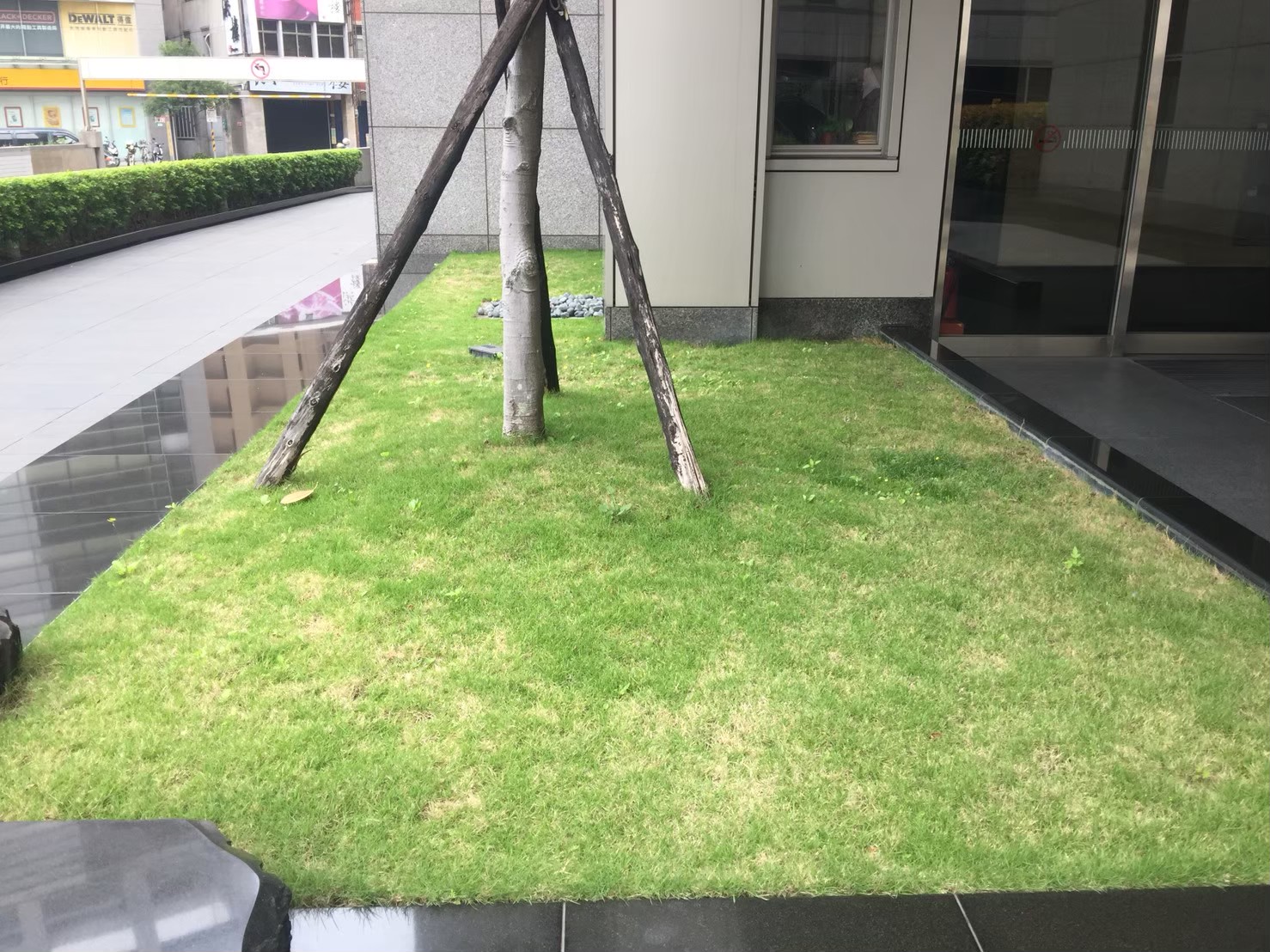 台北大樓中庭園藝修剪維護-園藝修剪整理,鋸樹矮化作業,花草樹木種植,園藝造園工程,庭院花園整理,割草鋸樹修剪-免費現勘