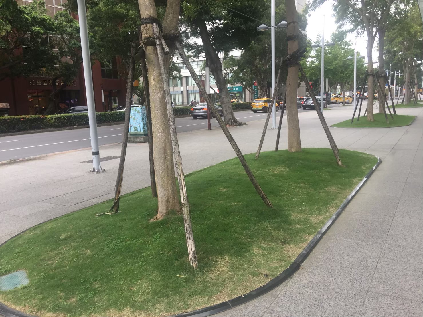 台北公司大樓園藝修剪維護-園藝修剪整理,鋸樹矮化作業,花草樹木種植,園藝造園工程,庭院花園整理,割草鋸樹修剪-免費現勘