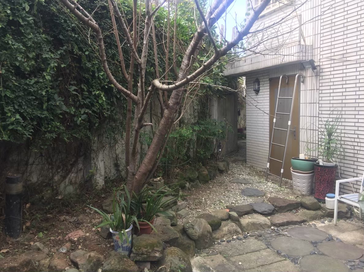 三重住家社區園藝修剪整理-園藝修剪整理,鋸樹矮化作業,花草樹木種植,園藝造園工程,庭院花園整理,割草鋸樹修剪-免費現勘