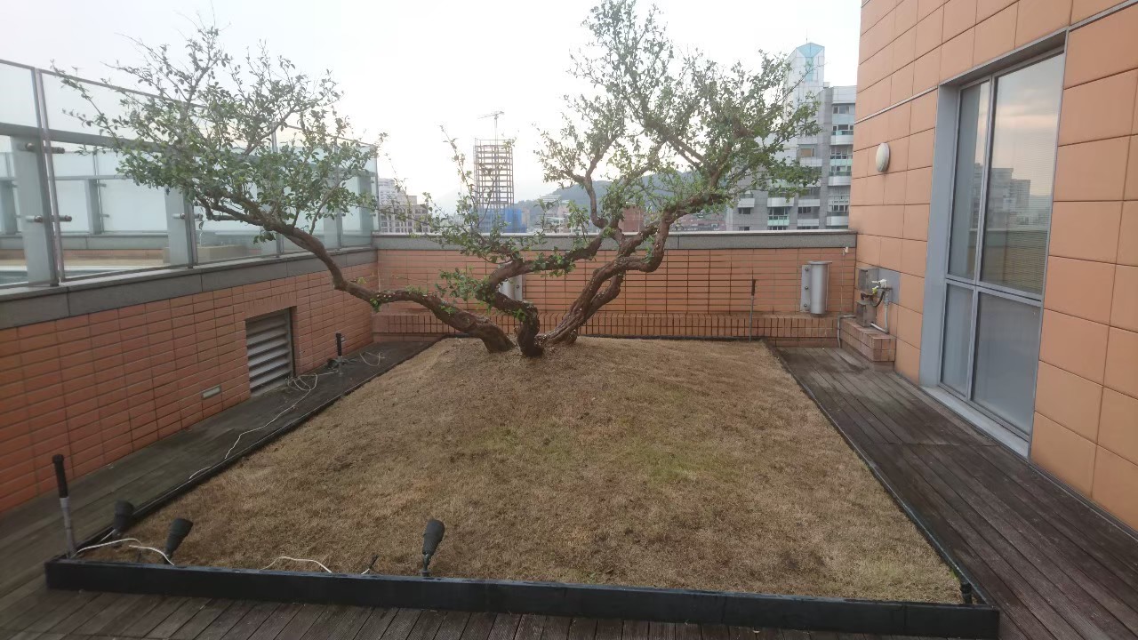 台北社區園藝修剪整理-園藝修剪整理,鋸樹矮化作業,花草樹木種植,園藝造園工程,庭院花園整理,割草鋸樹修剪-免費現勘