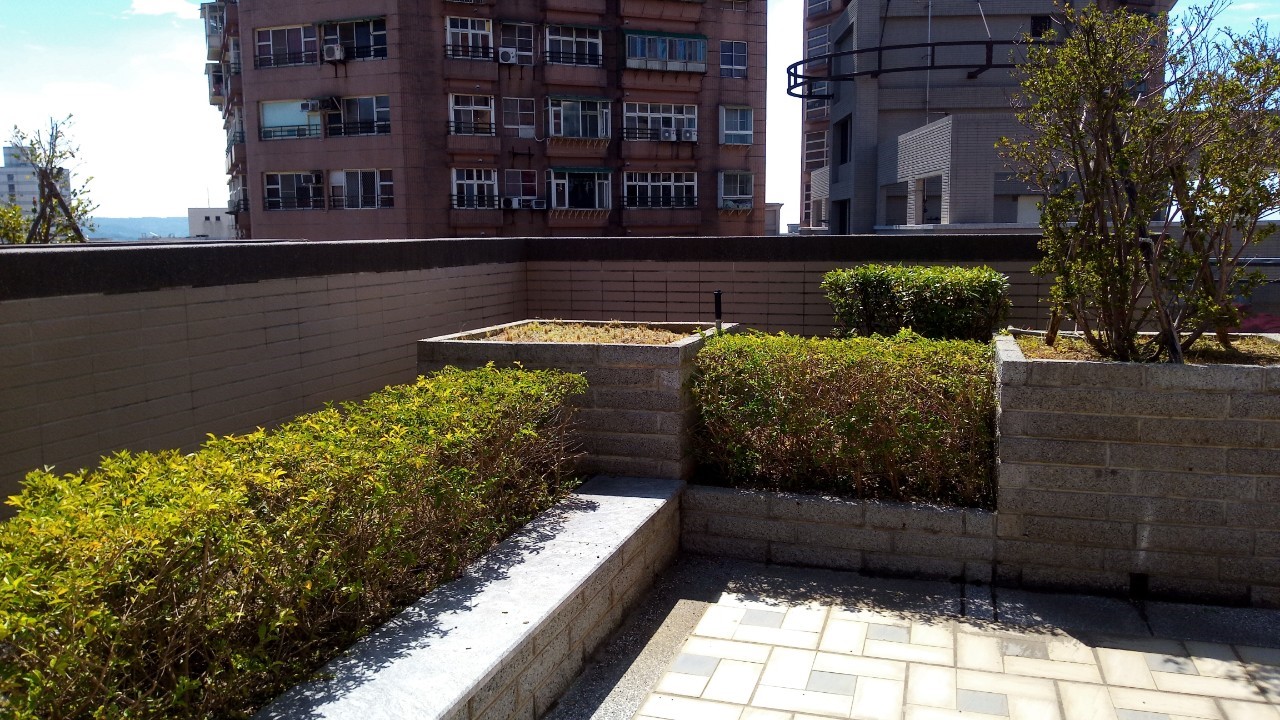 淡水八里社區園藝修剪整理工程-園藝修剪整理,鋸樹矮化作業,花草樹木種植,園藝造園工程,庭院花園整理,割草鋸樹修剪-免費現勘