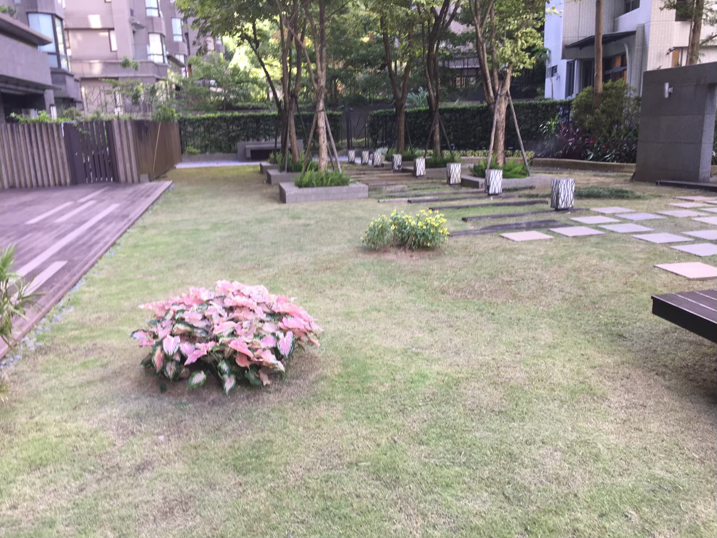 台北內湖社區園藝修剪整理-園藝修剪整理,鋸樹矮化作業,花草樹木種植,園藝造園工程,庭院花園整理,割草鋸樹修剪-免費現勘