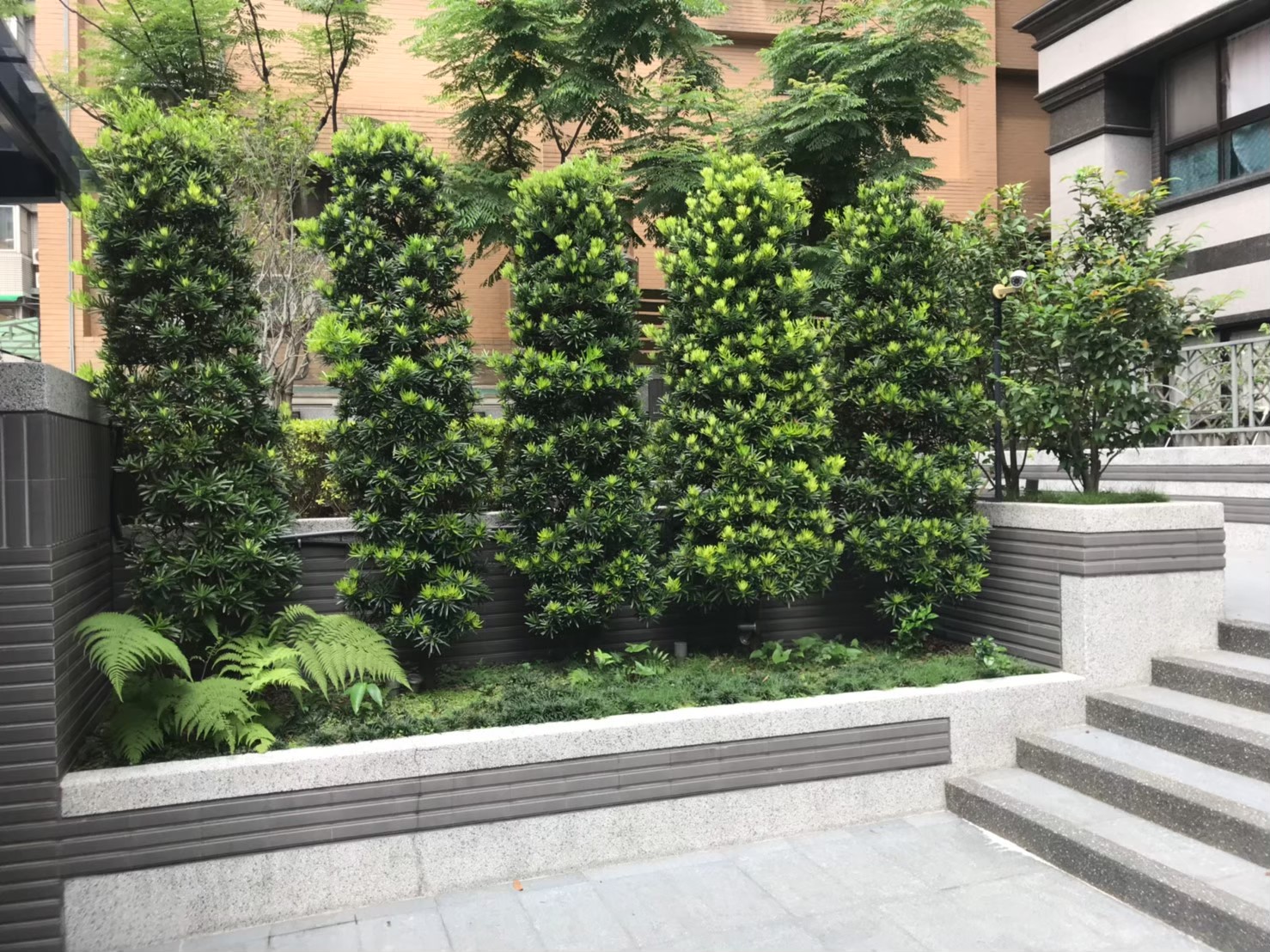 三重社區園藝花台修剪整理-園藝修剪整理,鋸樹矮化作業,花草樹木種植,園藝造園工程,庭院花園整理,割草鋸樹修剪-免費現勘