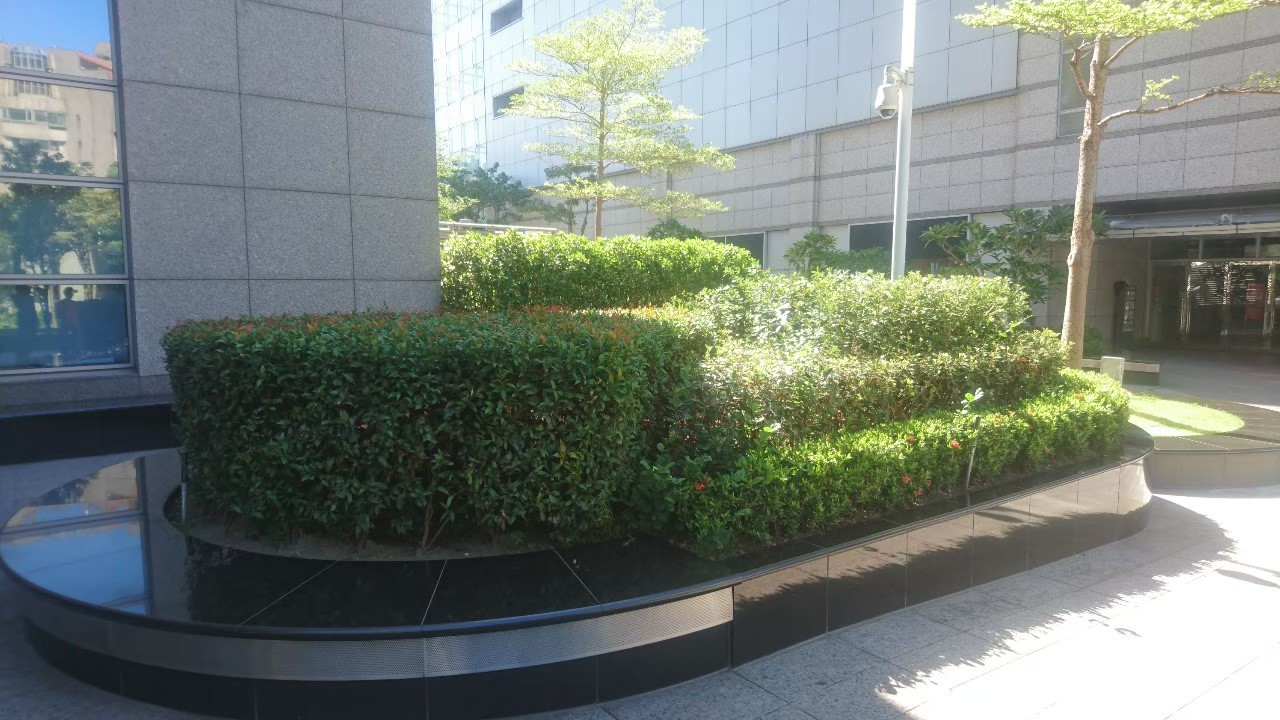 台北庭園園藝割草修剪整理-園藝修剪整理,鋸樹矮化作業,花草樹木種植,園藝造園工程,庭院花園整理,割草鋸樹修剪-免費現勘