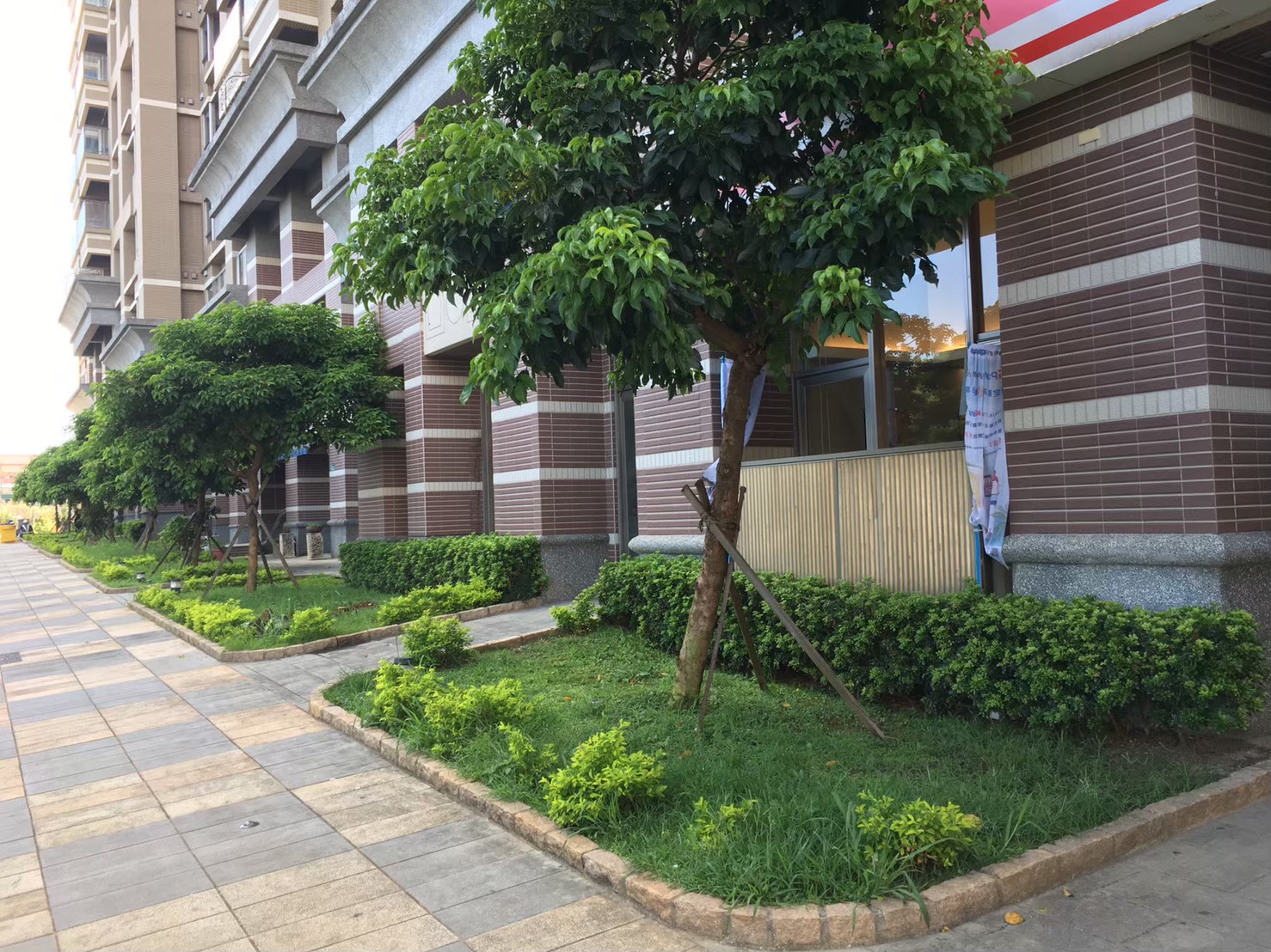 台北新北園藝綠植樹木修剪-園藝修剪整理,鋸樹矮化作業,花草樹木種植,園藝造園工程,庭院花園整理,割草鋸樹修剪-免費現勘