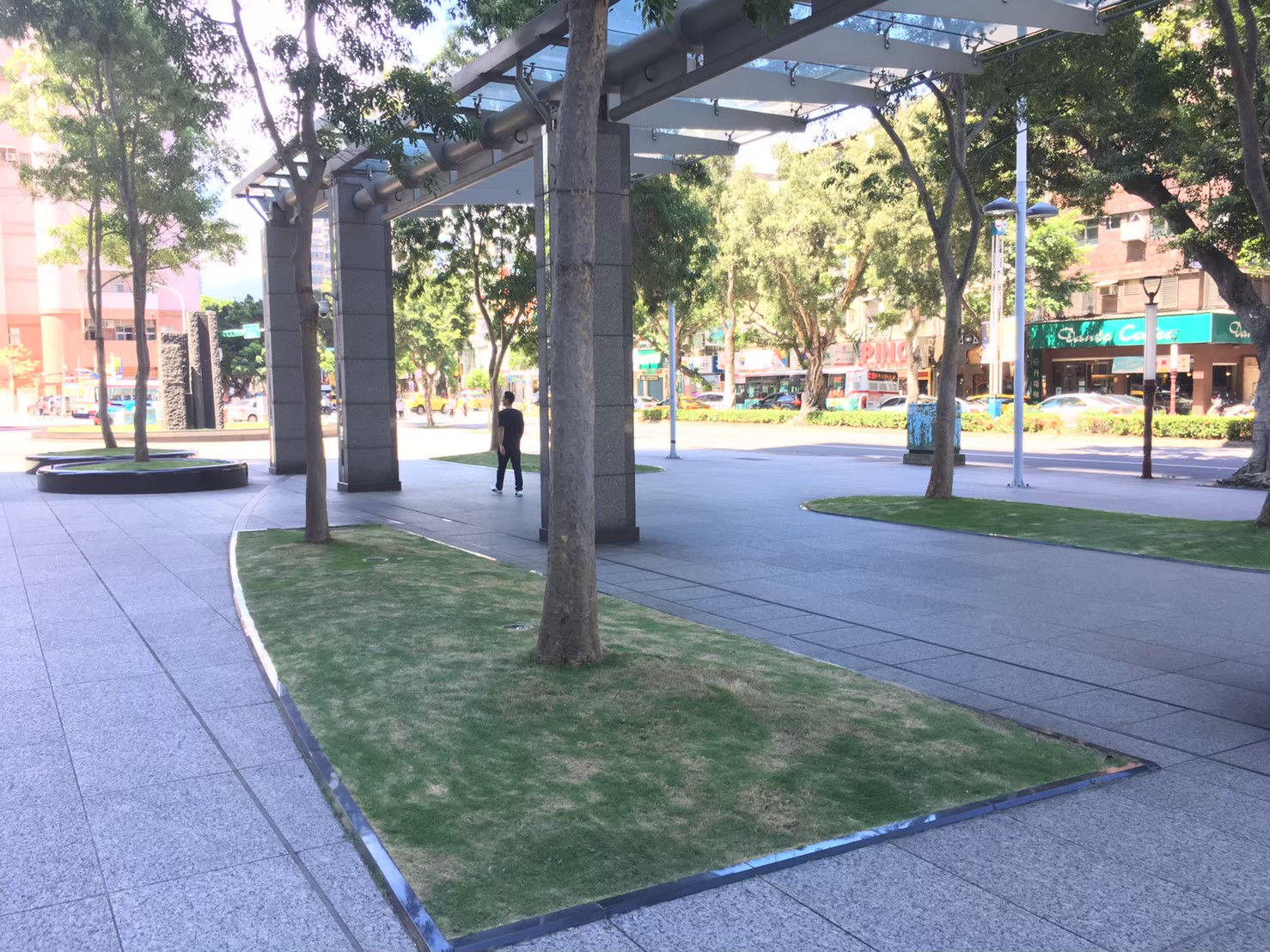 台北園藝維護整理-園藝修剪整理,鋸樹矮化作業,花草樹木種植,園藝造園工程,庭院花園整理,割草鋸樹修剪-免費現勘