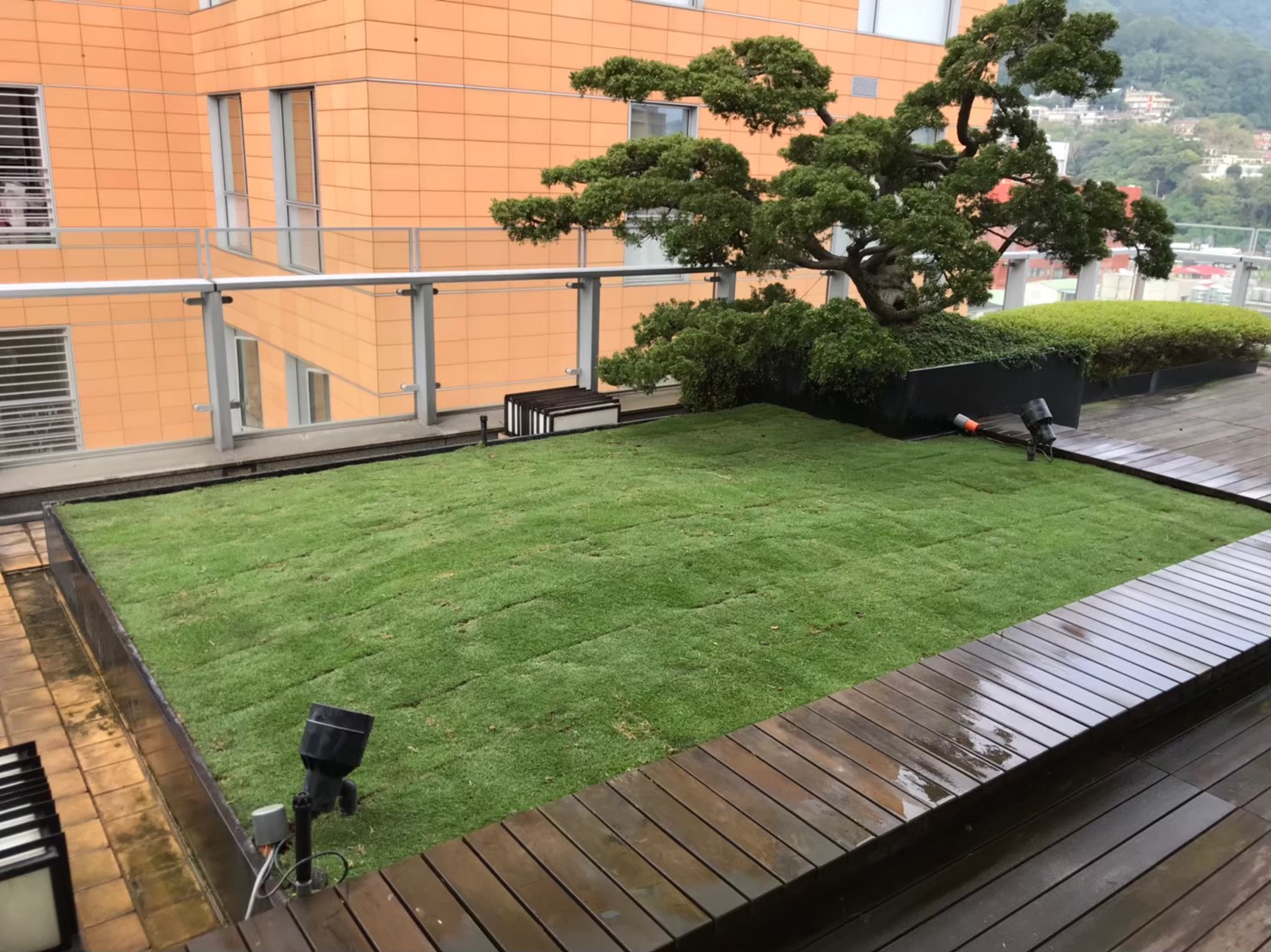 台北社區庭院換植草皮-園藝修剪整理,鋸樹矮化工程,花草樹木種植,造園景觀工程社區住家庭院園藝整-免費現勘