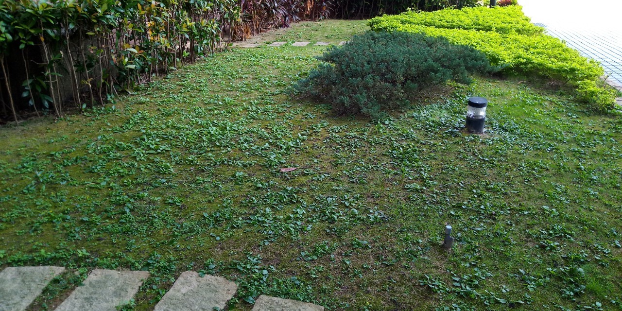 新北新裝社區園藝修剪整理工程-園藝修剪整理,鋸樹矮化作業,花草樹木種植,園藝造園工程,庭院花園整理,割草鋸樹修剪-免費現勘