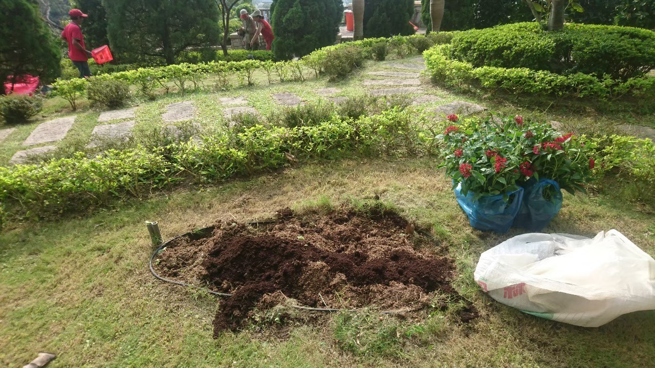 台北社區庭院園藝花草種植-園藝修剪整理,鋸樹矮化工程,花草樹木種植,造園景觀工程社區住家庭院園藝整-免費現勘