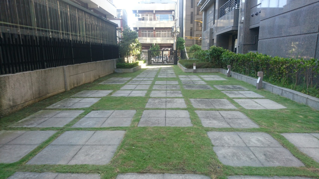 新店三峽園藝修剪割草整理-園藝修剪整理,鋸樹矮化作業,花草樹木種植,園藝造園工程,庭院花園整理,割草鋸樹修剪-免費現勘