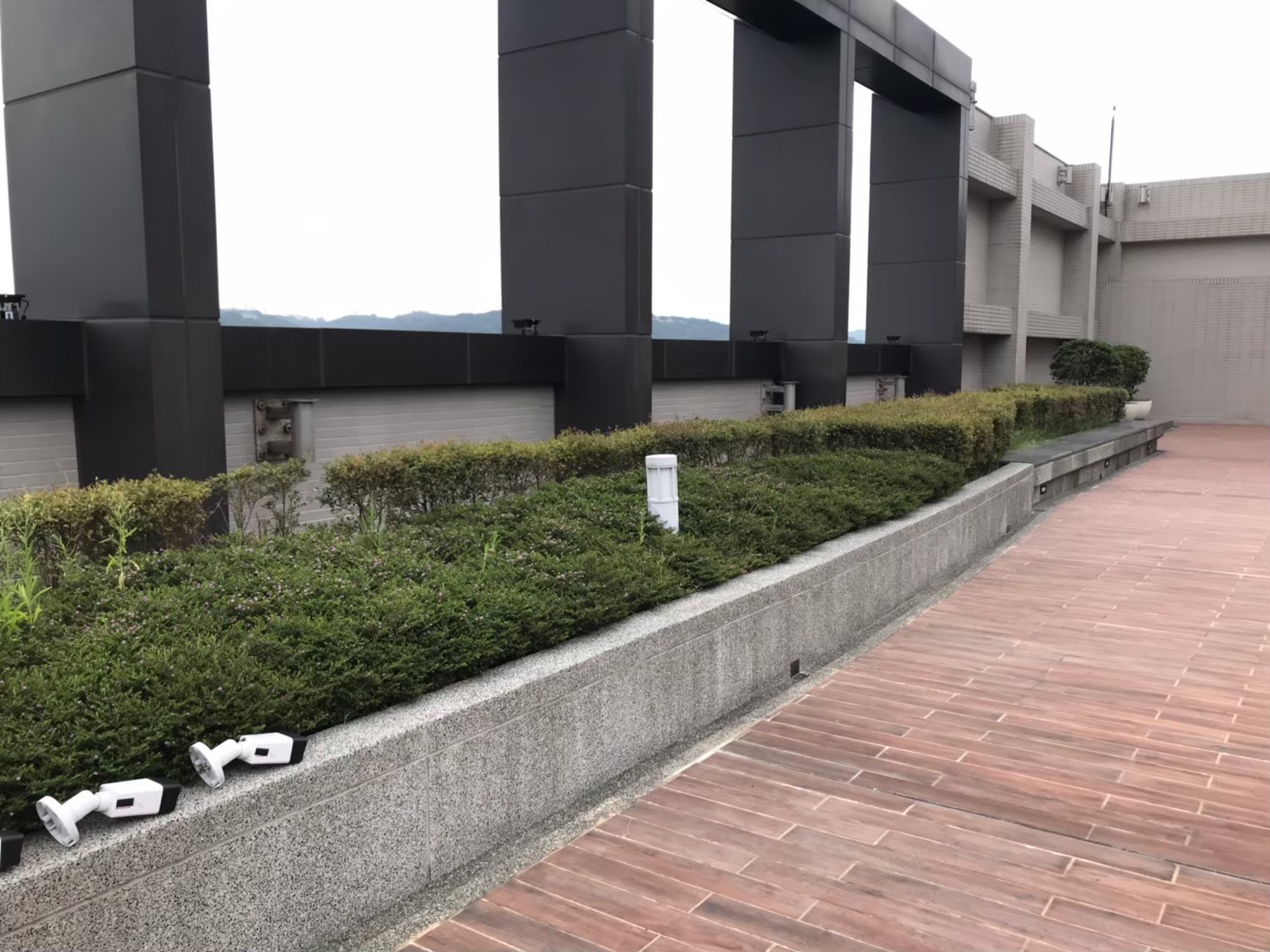 台北園藝維護整理-園藝修剪整理,鋸樹矮化作業,花草樹木種植,園藝造園工程,庭院花園整理,割草鋸樹修剪-免費現勘