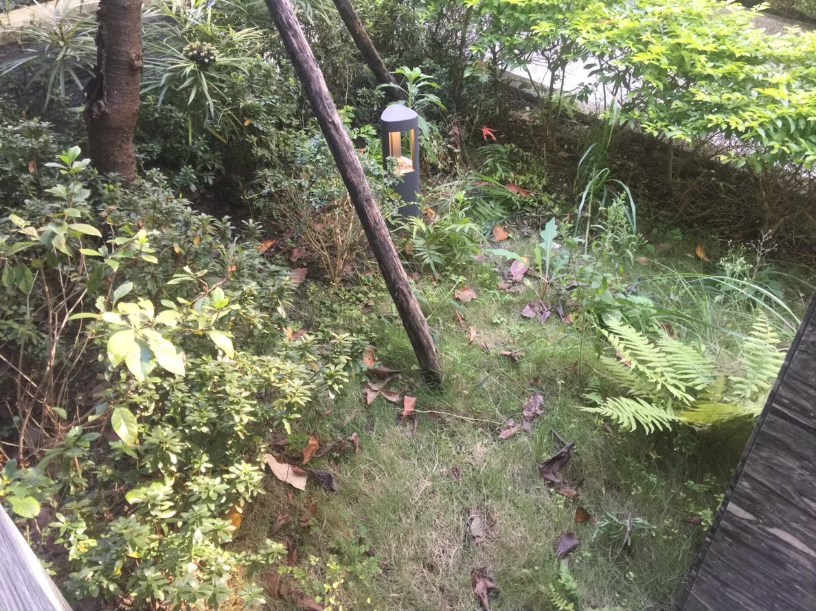 林口住家庭院貼草皮-園藝修剪整理,鋸樹矮化工程,花草樹木種植,造園景觀工程社區住家庭院園藝整-免費現勘