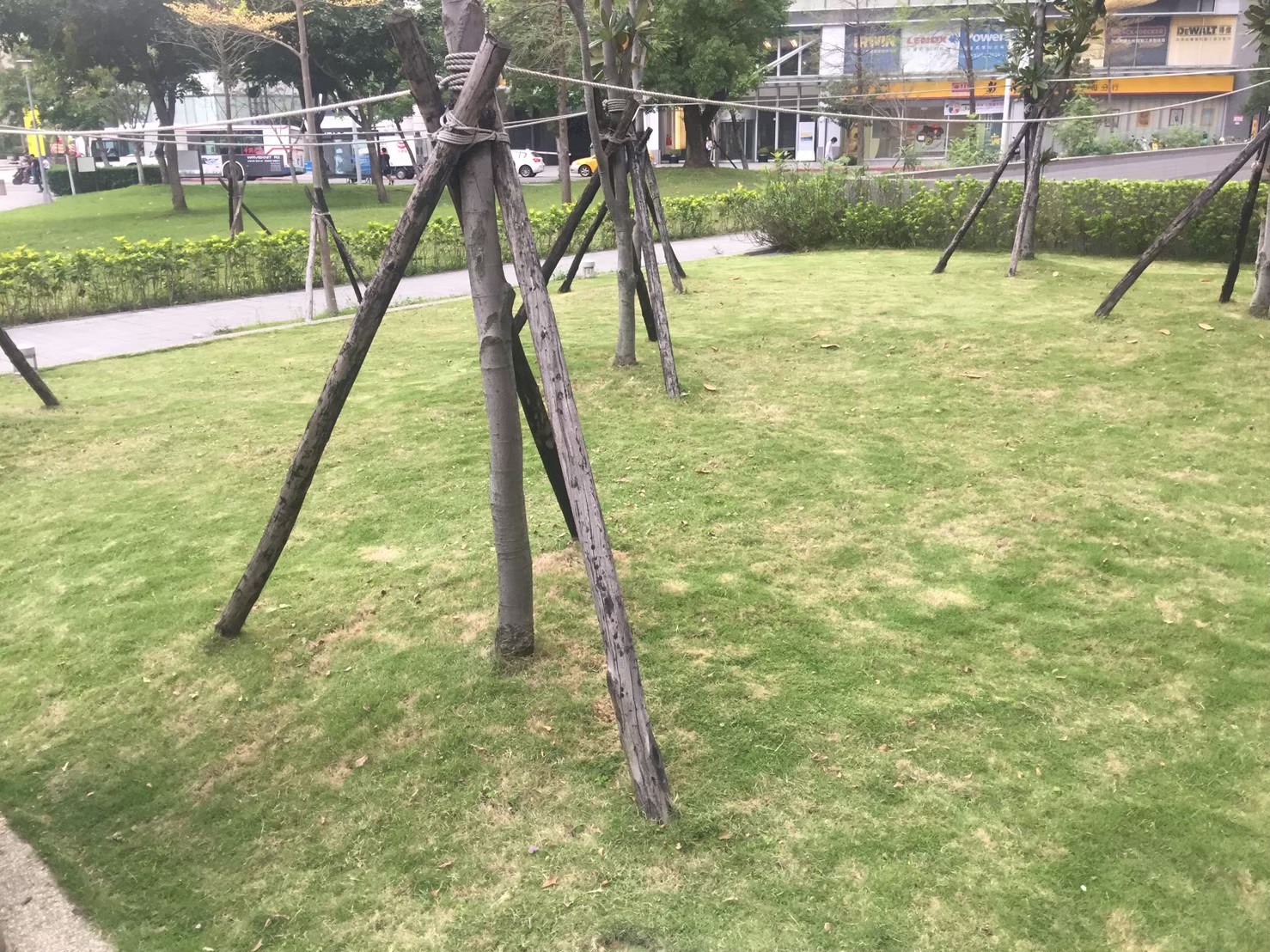 台北大樓中庭園藝修剪維護-園藝修剪整理,鋸樹矮化作業,花草樹木種植,園藝造園工程,庭院花園整理,割草鋸樹修剪-免費現勘