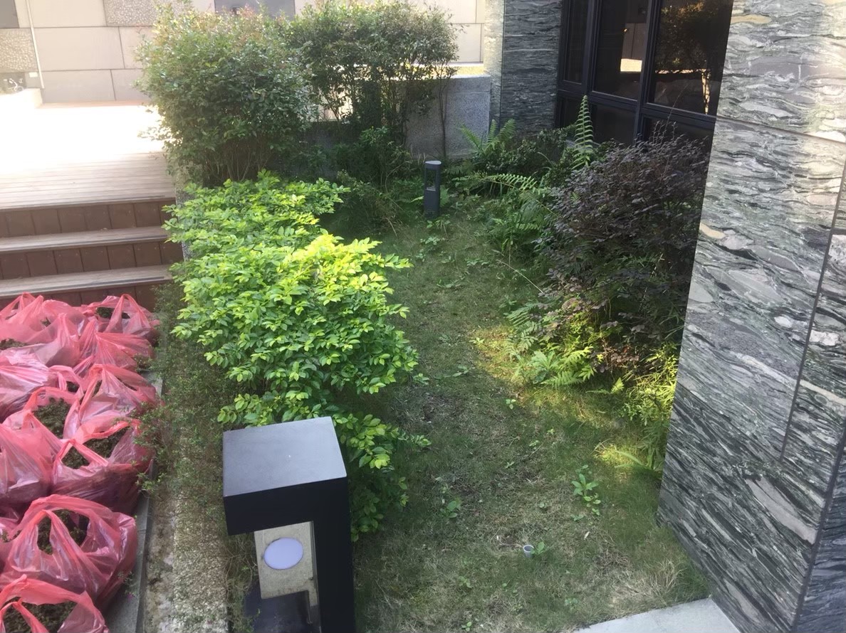 林口住家庭院貼草皮-園藝修剪整理,鋸樹矮化工程,花草樹木種植,造園景觀工程社區住家庭院園藝整-免費現勘(7)