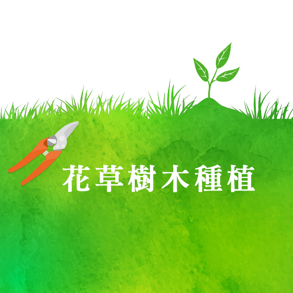 花草樹木種植