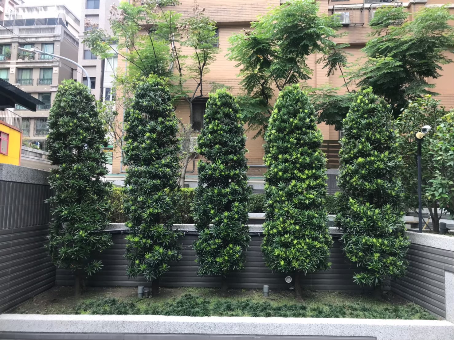 三重社區園藝花台修剪整理-園藝修剪整理,鋸樹矮化作業,花草樹木種植,園藝造園工程,庭院花園整理,割草鋸樹修剪-免費現勘