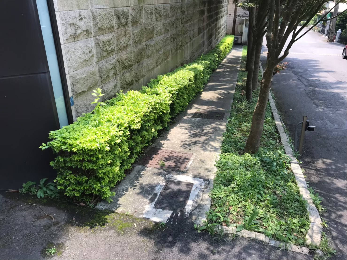 台北社區庭園綠植修剪維護-園藝修剪整理,鋸樹矮化作業,花草樹木種植,園藝造園工程,庭院花園整理,割草鋸樹修剪-免費現勘