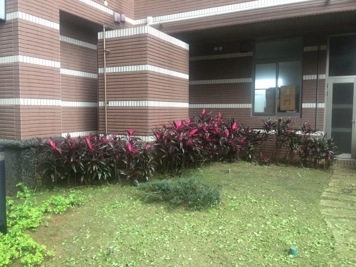 新北市社區園藝修剪整理-園藝修剪整理,鋸樹矮化作業,花草樹木種植,園藝造園工程,庭院花園整理,割草鋸樹修剪-免費現勘