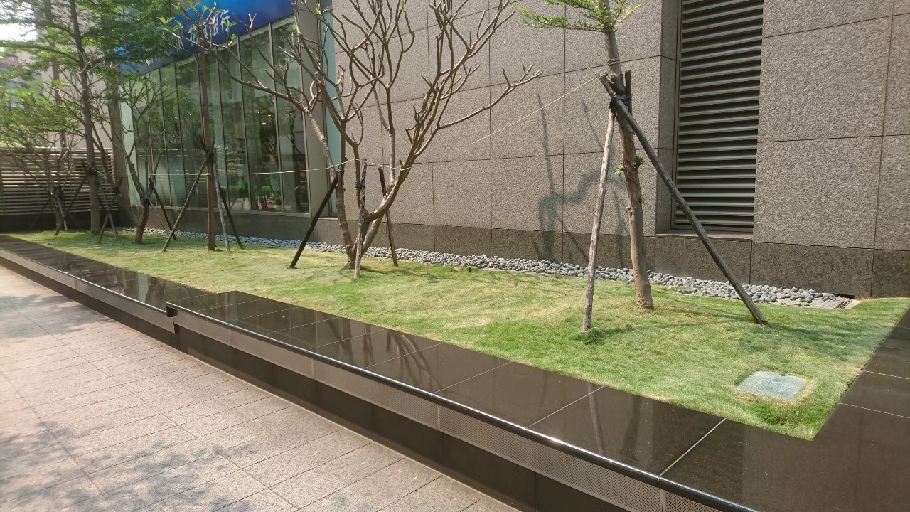 台北市公司園藝修剪整理-園藝修剪整理,鋸樹矮化作業,花草樹木種植,園藝造園工程,庭院花園整理,割草鋸樹修剪-免費現勘