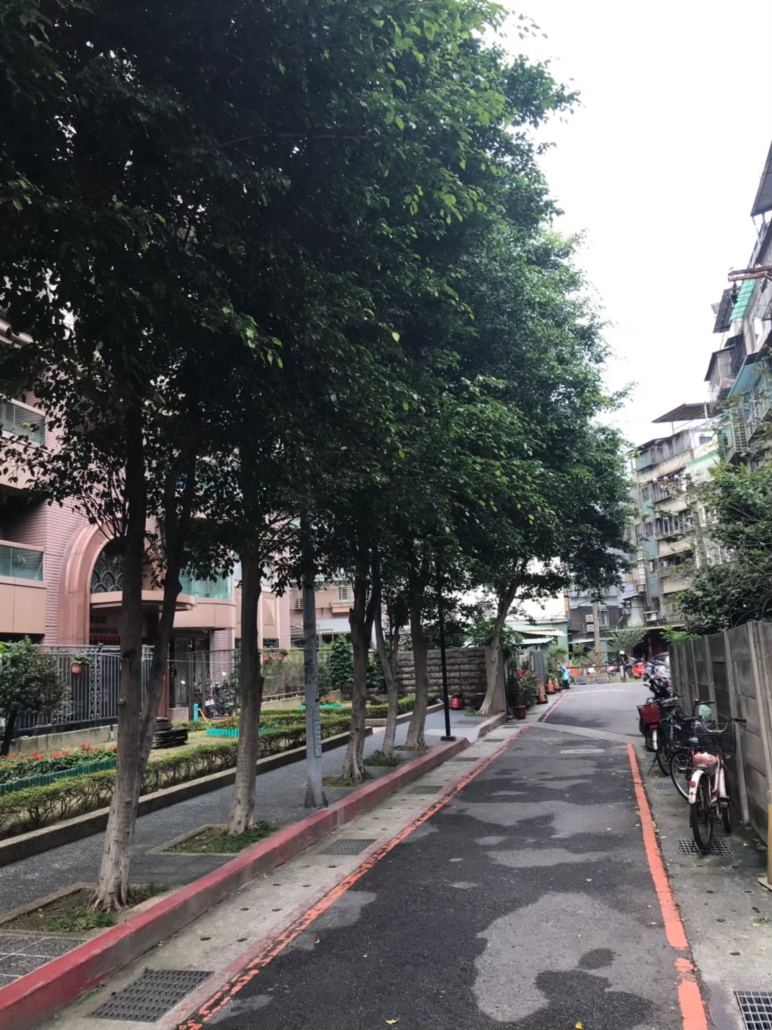 台北新北園藝綠植樹木修剪-園藝修剪整理,鋸樹矮化作業,花草樹木種植,園藝造園工程,庭院花園整理,割草鋸樹修剪-免費現勘