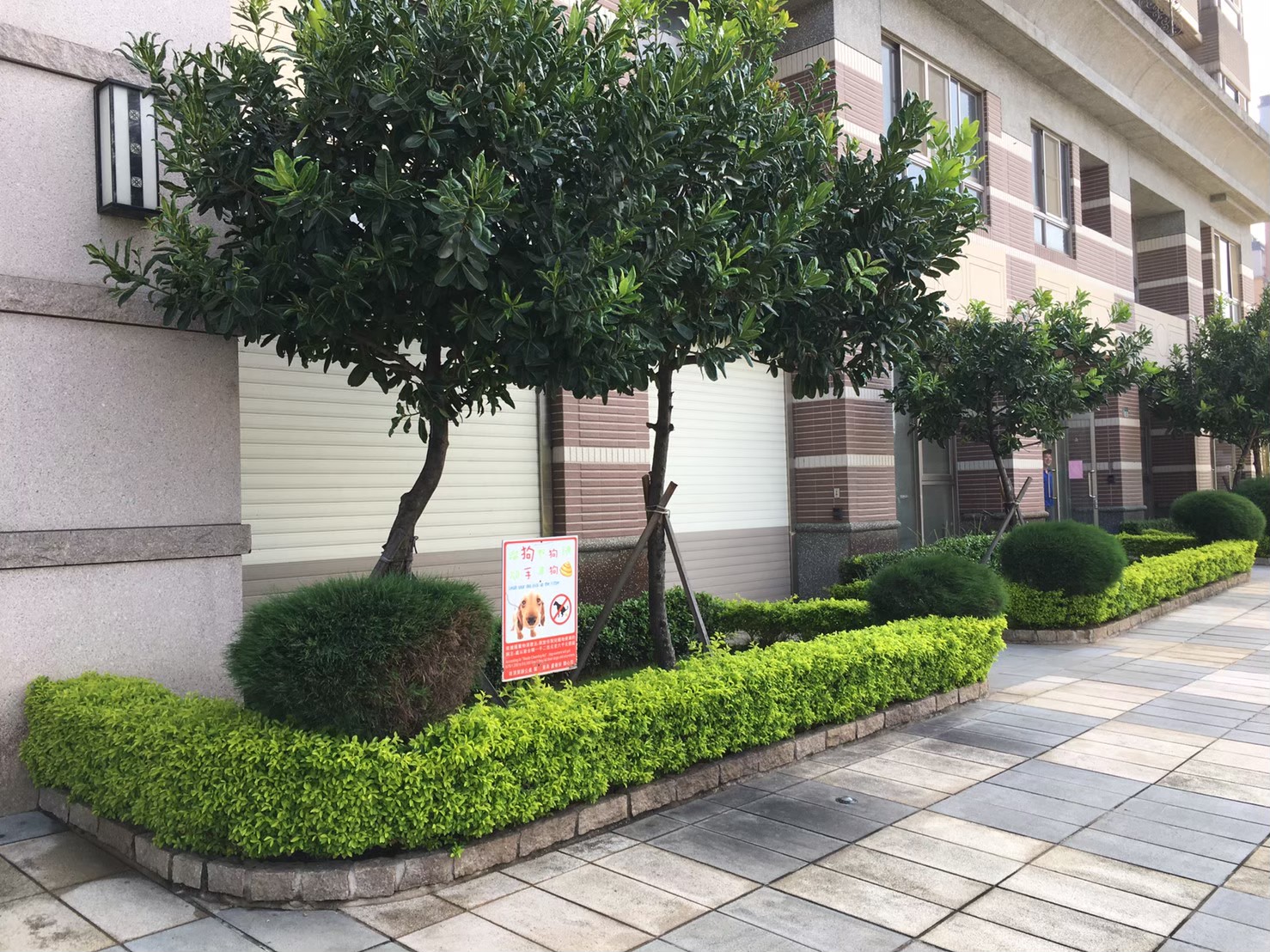 台北新北園藝綠植樹木修剪-園藝修剪整理,鋸樹矮化作業,花草樹木種植,園藝造園工程,庭院花園整理,割草鋸樹修剪-免費現勘