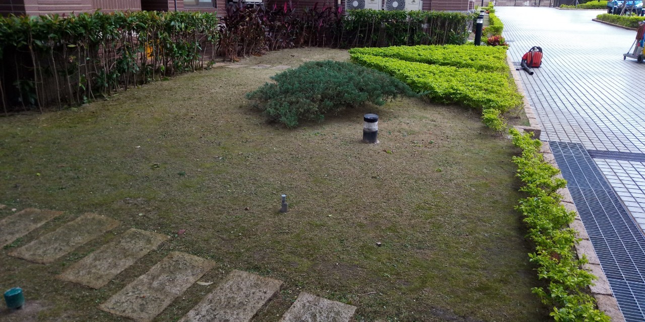 新北新裝社區園藝修剪整理工程-園藝修剪整理,鋸樹矮化作業,花草樹木種植,園藝造園工程,庭院花園整理,割草鋸樹修剪-免費現勘