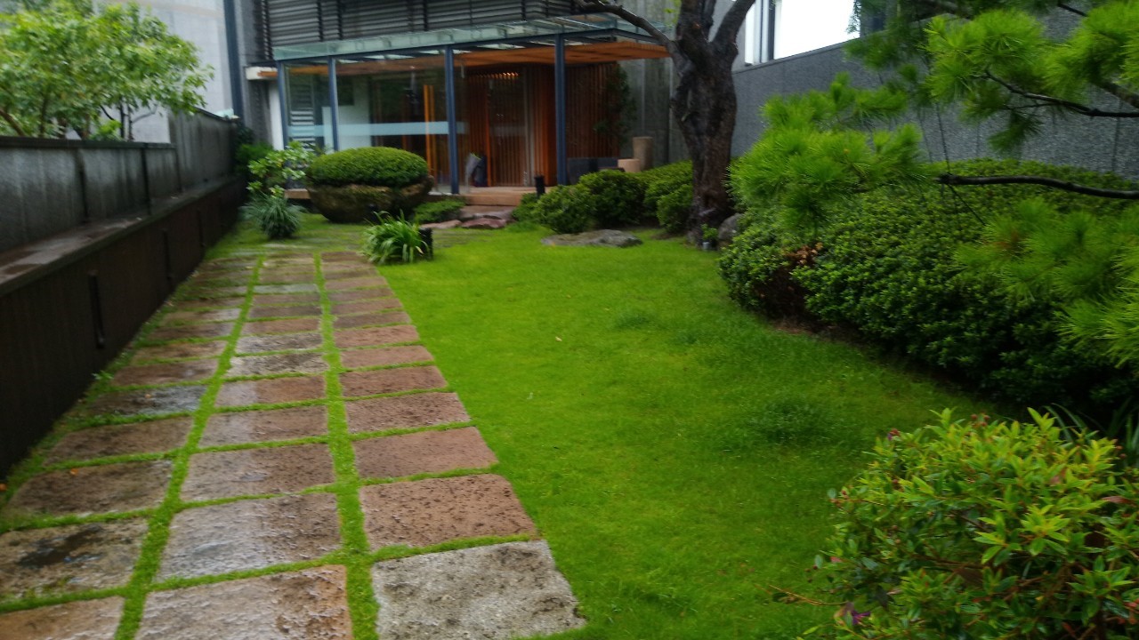 淡水八里社區園藝修剪整理工程-園藝修剪整理,鋸樹矮化作業,花草樹木種植,園藝造園工程,庭院花園整理,割草鋸樹修剪-免費現勘