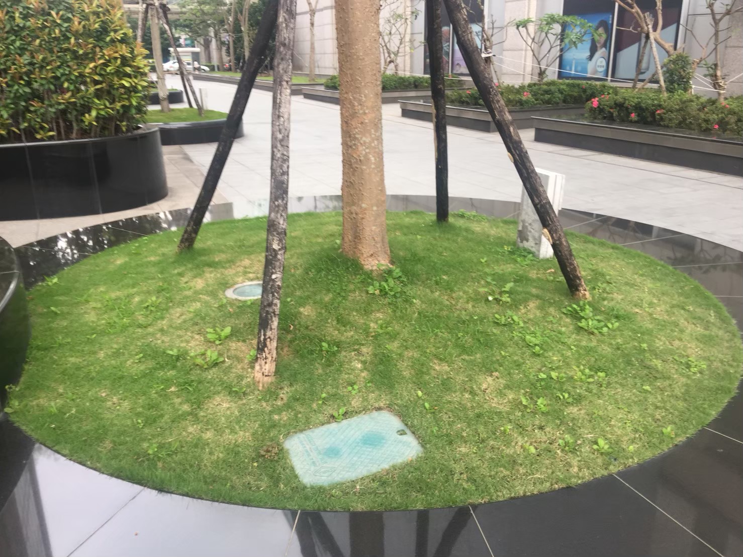 台北大樓中庭園藝修剪維護-園藝修剪整理,鋸樹矮化作業,花草樹木種植,園藝造園工程,庭院花園整理,割草鋸樹修剪-免費現勘