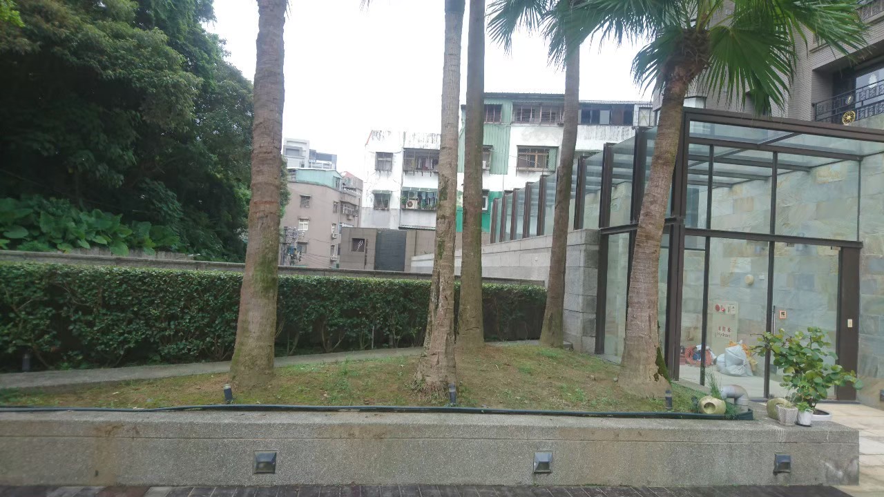 -園藝修剪整理,鋸樹矮化作業,花草樹木種植,園藝造園工程,庭院花園整理,割草鋸樹修剪-免費現勘