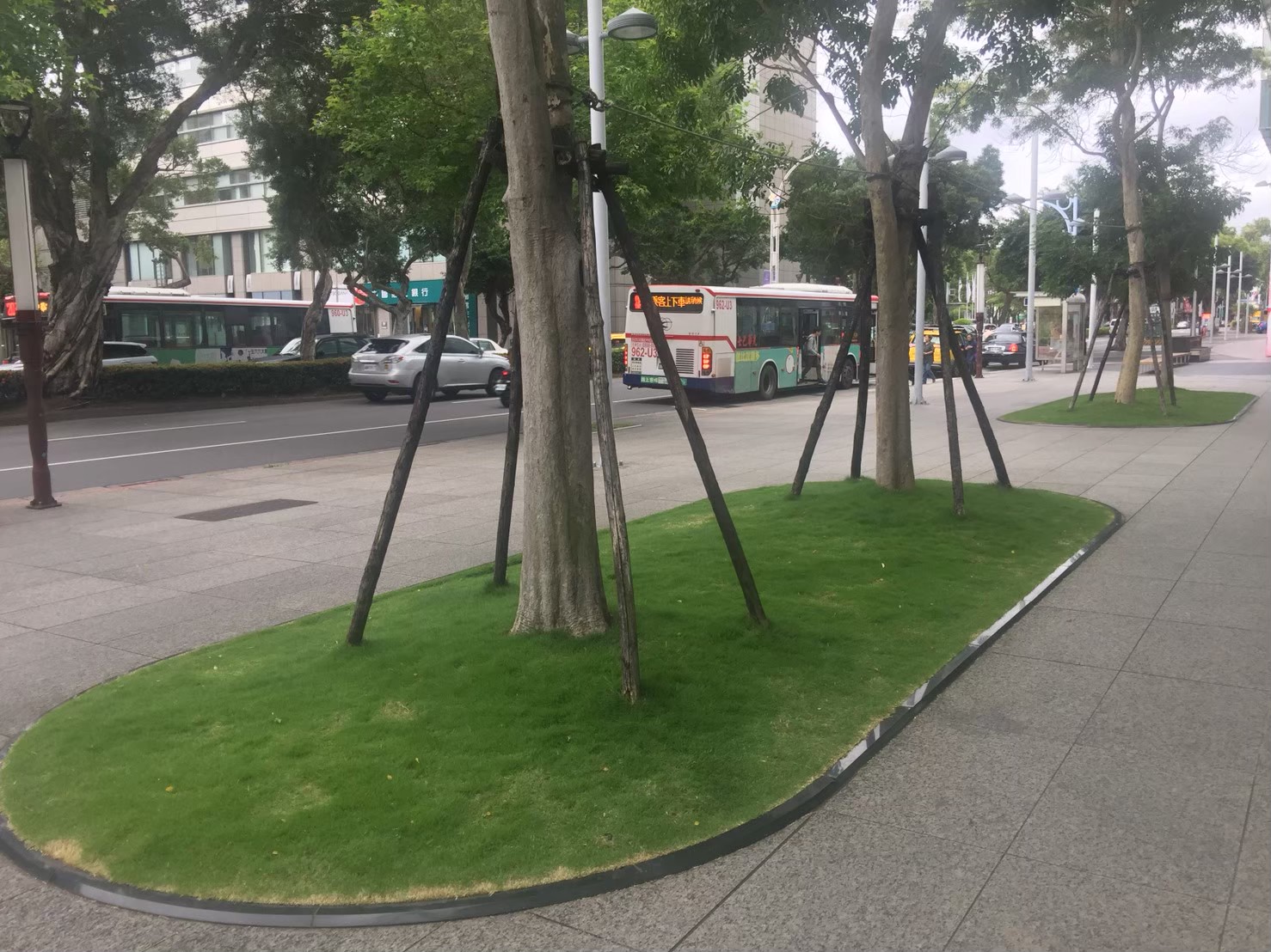 台北公司大樓園藝修剪維護-園藝修剪整理,鋸樹矮化作業,花草樹木種植,園藝造園工程,庭院花園整理,割草鋸樹修剪-免費現勘