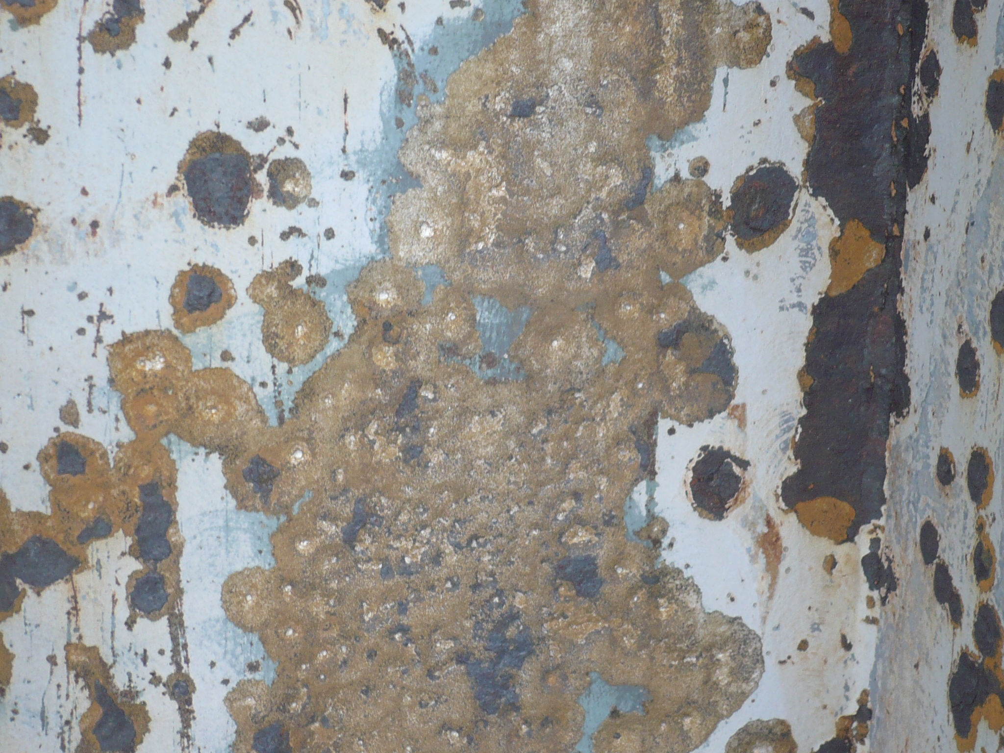 船體-除鏽清洗後