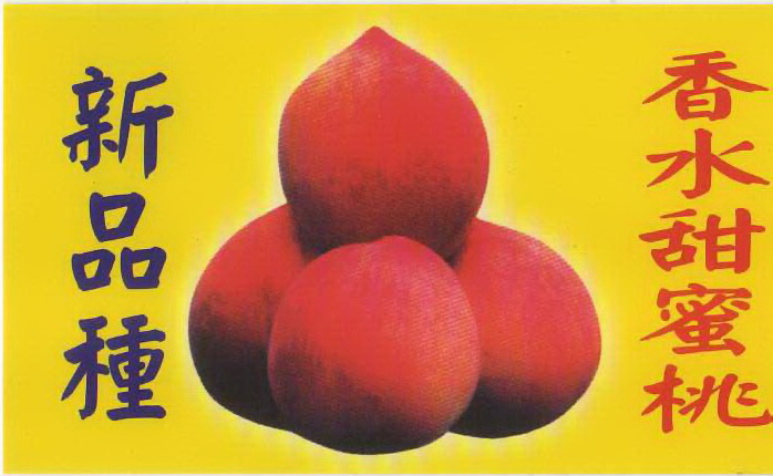 香水甜蜜桃