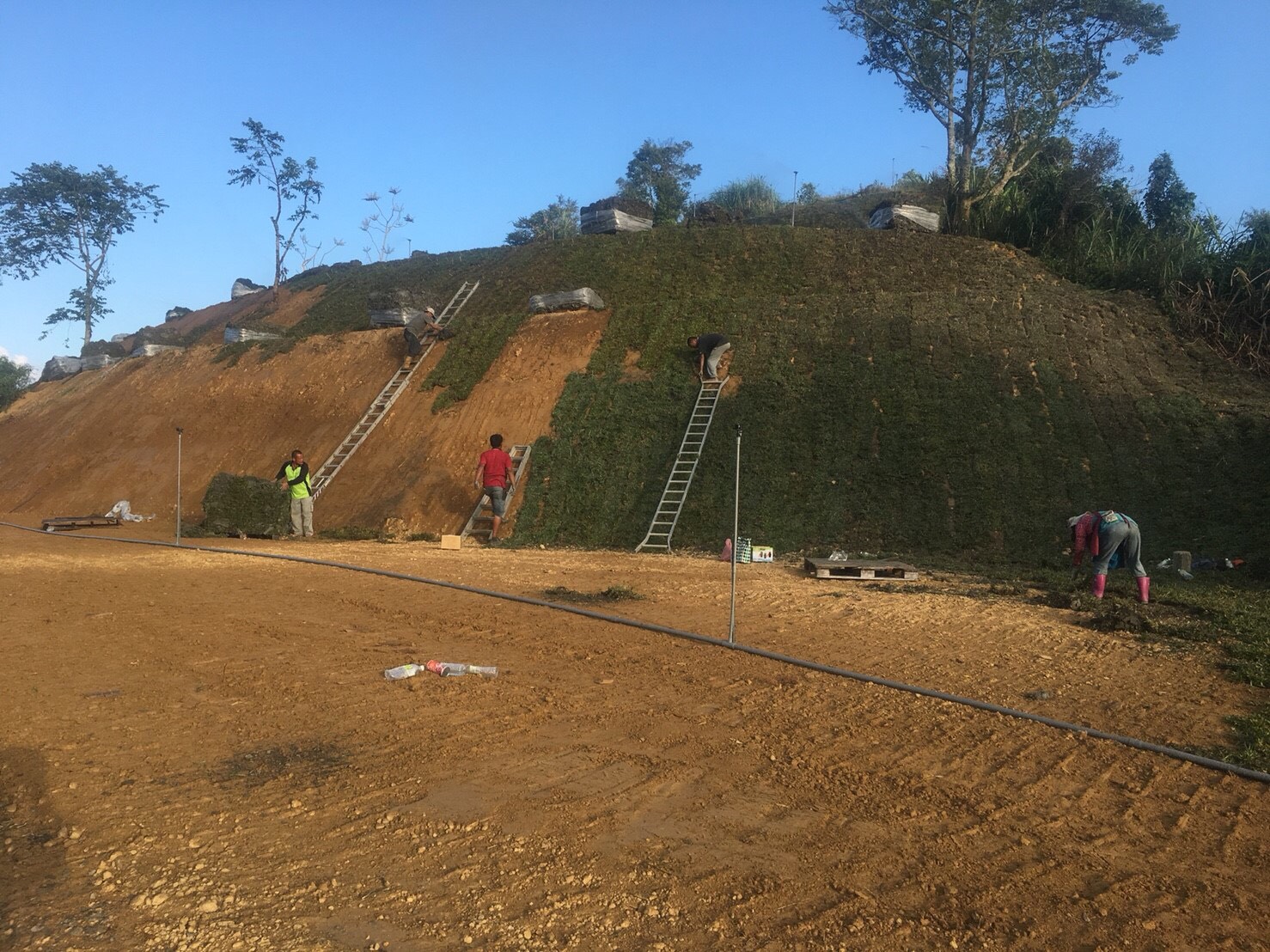 師父舗植草皮現場施工