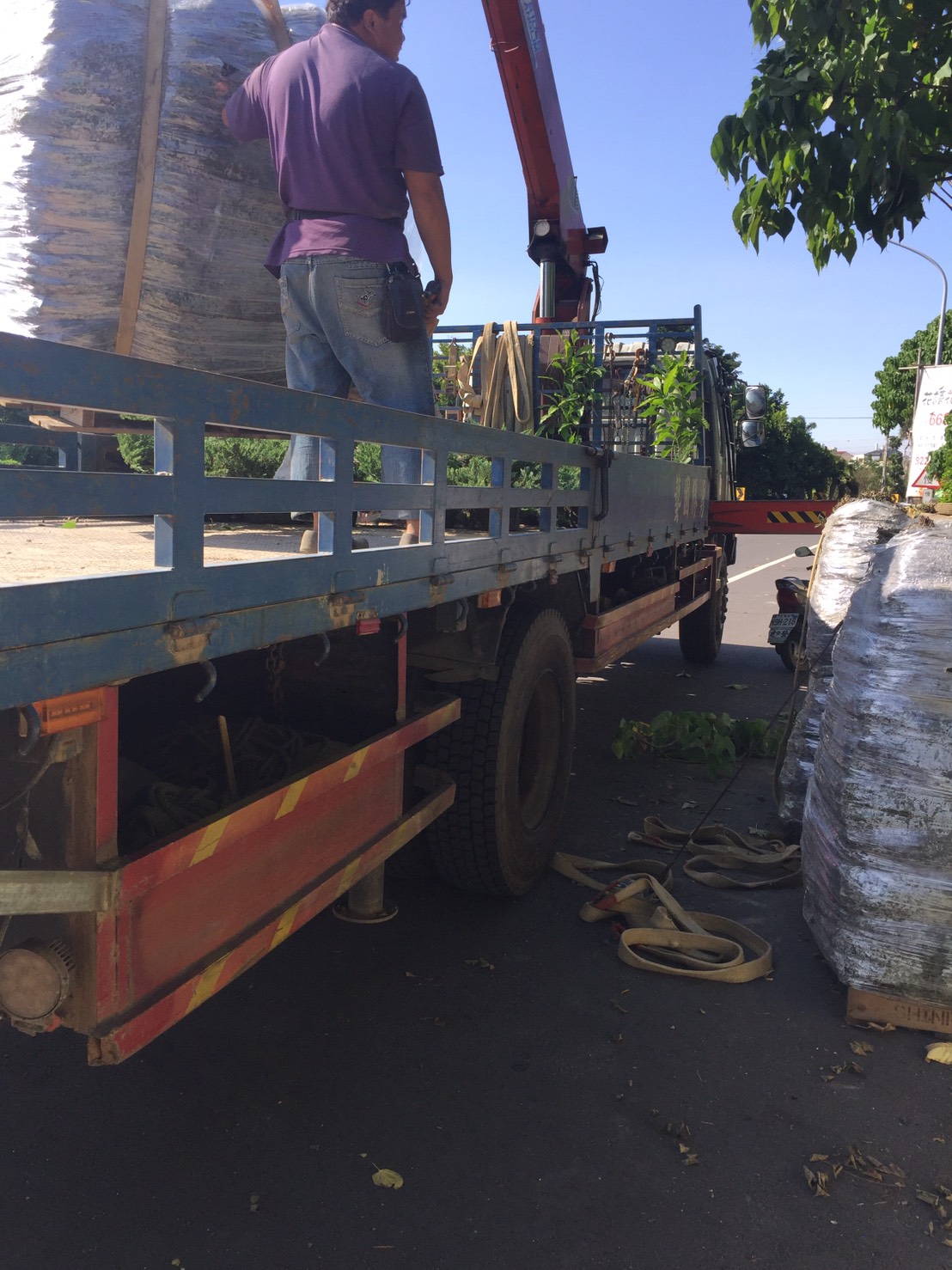 各種類品種草皮，草皮種子，批發零售