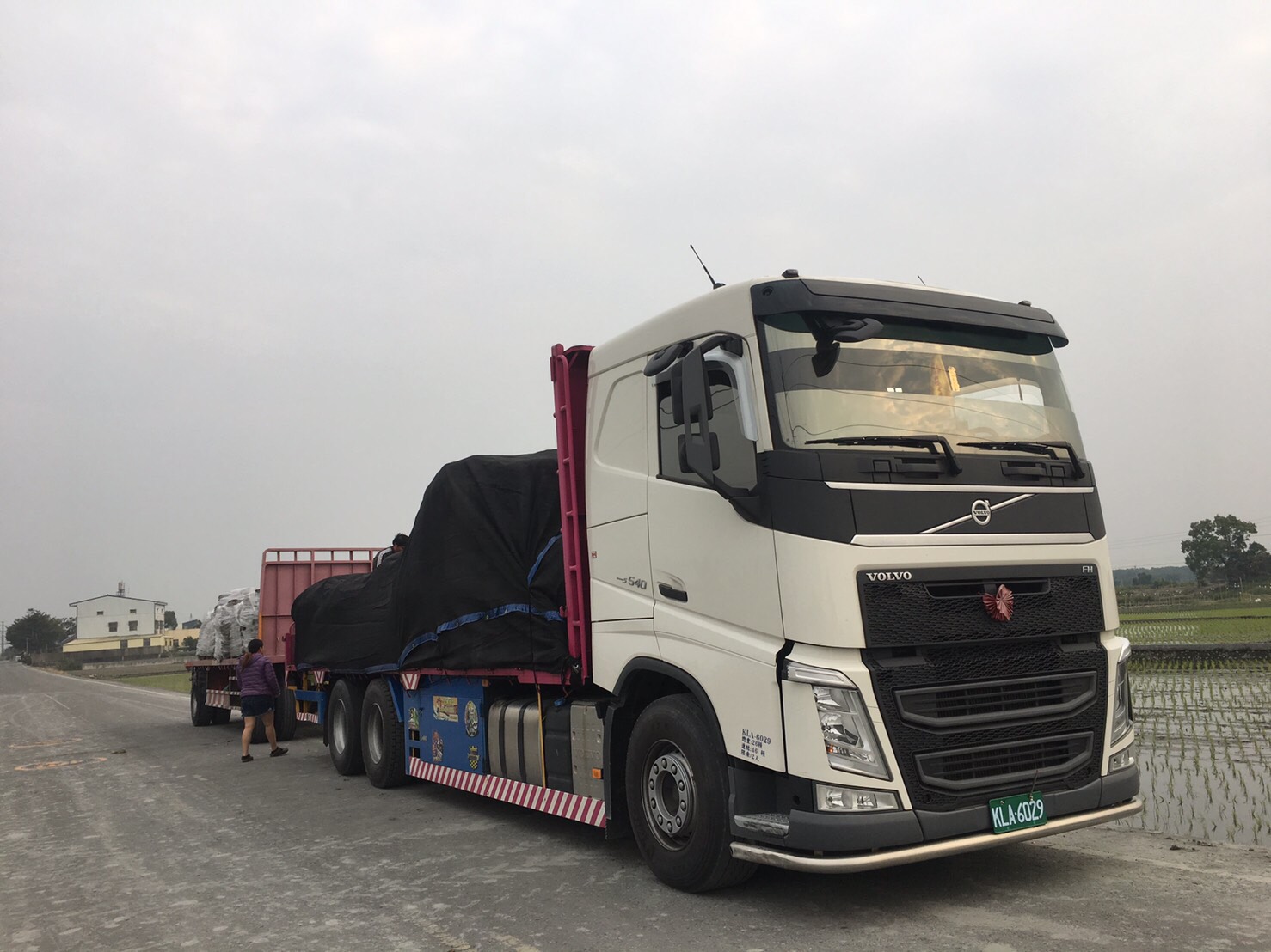 各種草皮：百慕達草