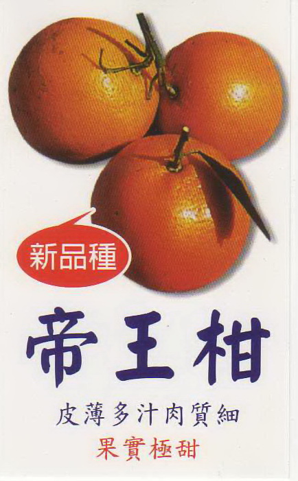 帝王柑