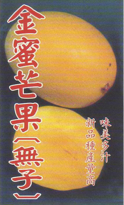 金蜜芒果